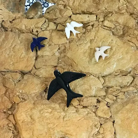 Casa Do Ze- Homestay Lisbon