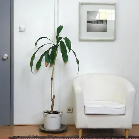 Casa Do Ze-